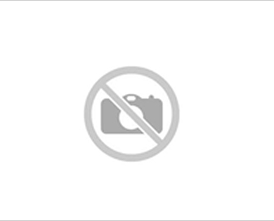 GoMobile GM-LCC-01 Lıghting Kablo (1,2 m)