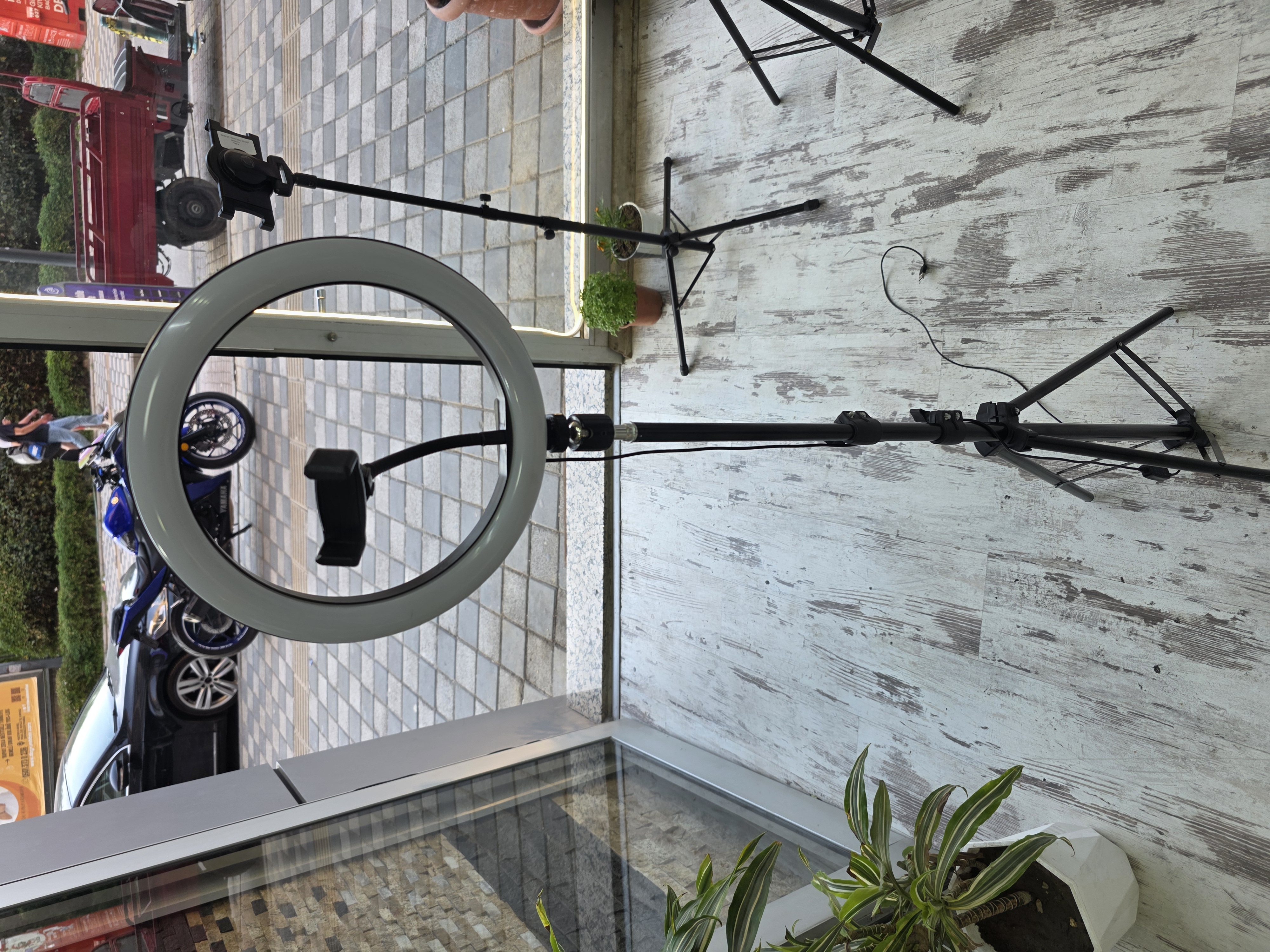 IMEX SELFİ LED HALKA IŞIK ZIT-19-10