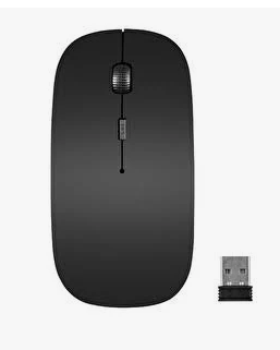 Everest Optik Nano Receive Bluetooth ve Kablosuz Mouse 