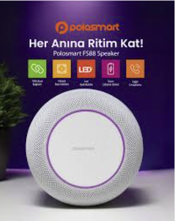 POLOSMART FS88 Kablosuz Hoparlör 