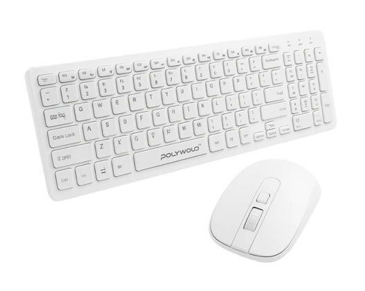 POLYGOLD PG-8040 KABLOSUZ KLAVYE MOUSE SET